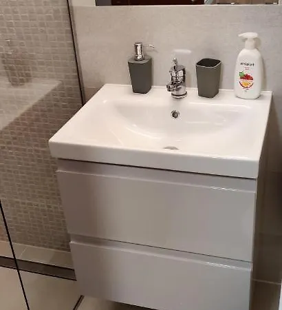 Marius 公寓 布拉索夫